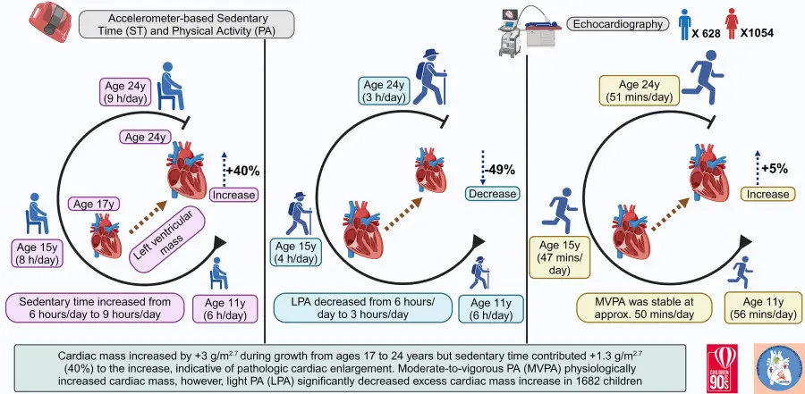 Accelerometer-based sedentary time